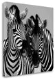 "Namibia Zebras" By Nina Papiorek, Giclee Print on Gallery Wrap Canvas