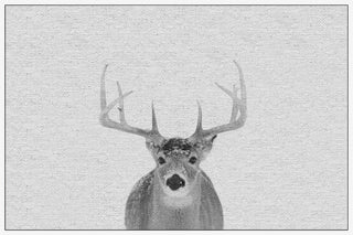 "Serious Deer" Floater Framed Painting Print, Canvas, 60"x40"