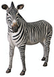 Grand Scale Adult Zebra Statue
