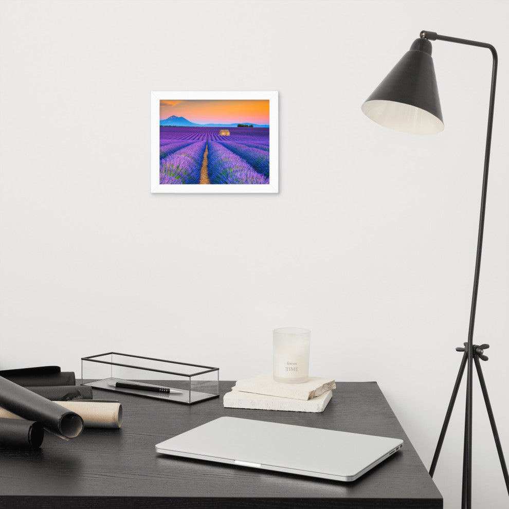 Blooming Lavender Field and Sunset Floral Landscape Framed Photo Wall Art Prints, White, 8" X 10"