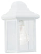 Generation Lighting Lighting 1-Light Outdoor Lantern, White