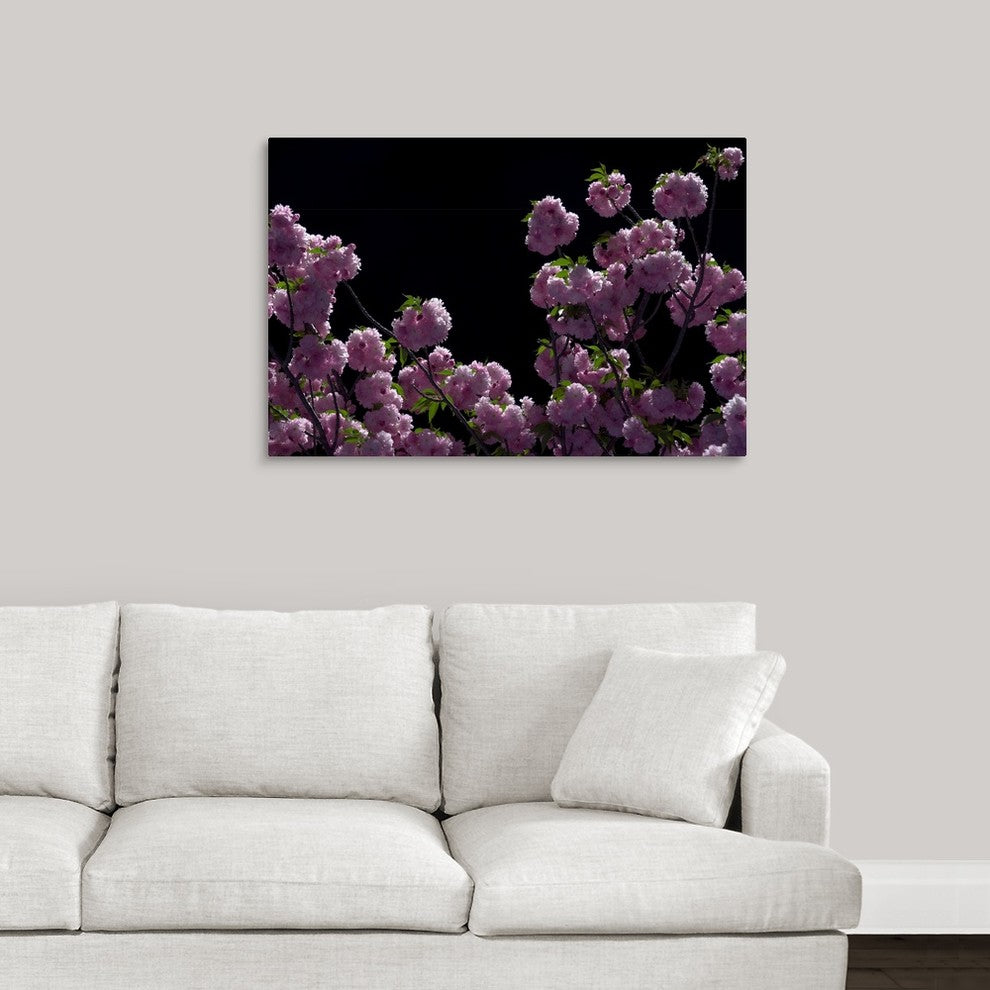 "Night Blossoms" Wrapped Canvas Art Print, 36"x24"x1.5"
