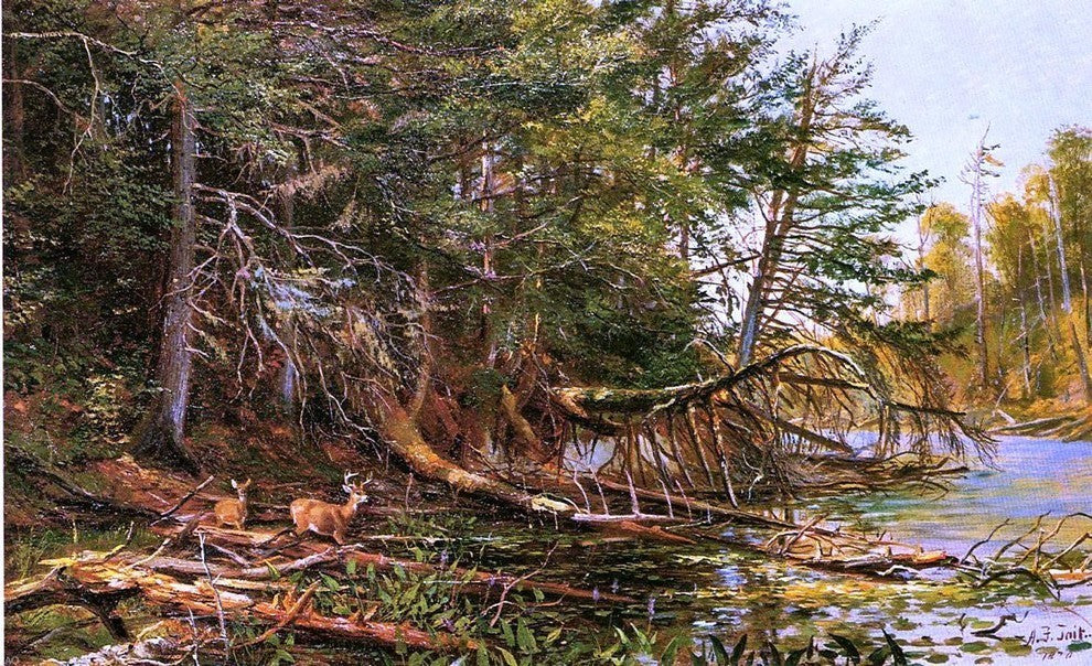 Arthur Fitzwilliam Tait The Outlet of St. Regis Lake Premium Canvas Print