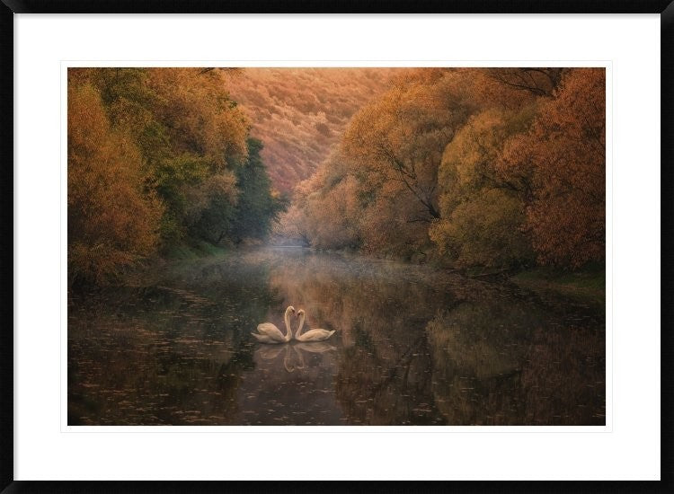 "Untitled" Framed Digital Print by Stanislav Hricko, 38"x28"
