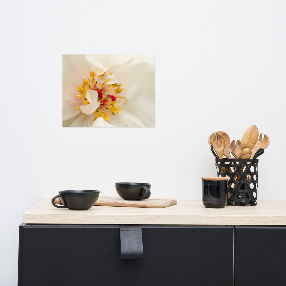 Eye of Peony Nature Photography, Floral Unframed Wall Art Print, 11" X 14"