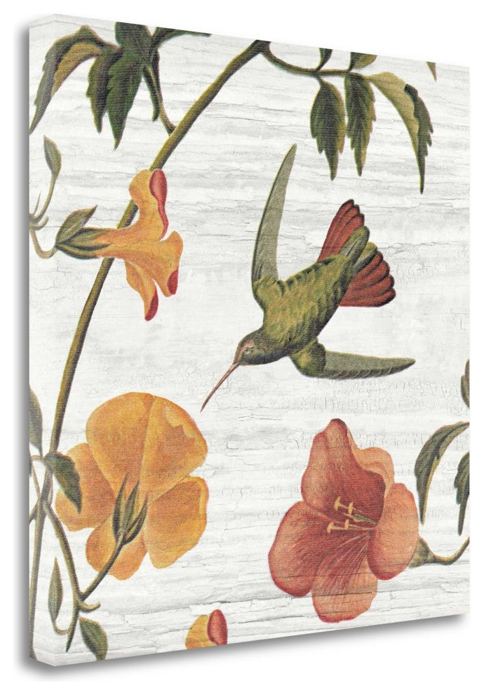 "Vintage Hummingbird I" By Wild Apple Portfolio, Giclee on Gallery Wrap Canvas