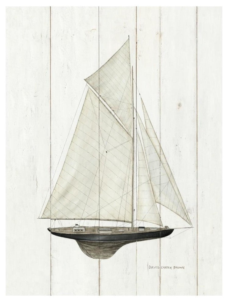 "Sailboat I" Digital Paper Print by David Carter Brown, 14"x18"