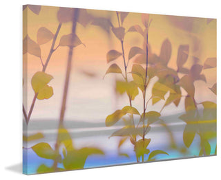 "Tranquility IV" Painting Print on Canvas by Sia Aryai