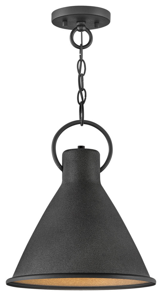 Hinkley Lighting 3557 Winnie 1 Light 12"W Pendant - Aged Zinc / Distressed