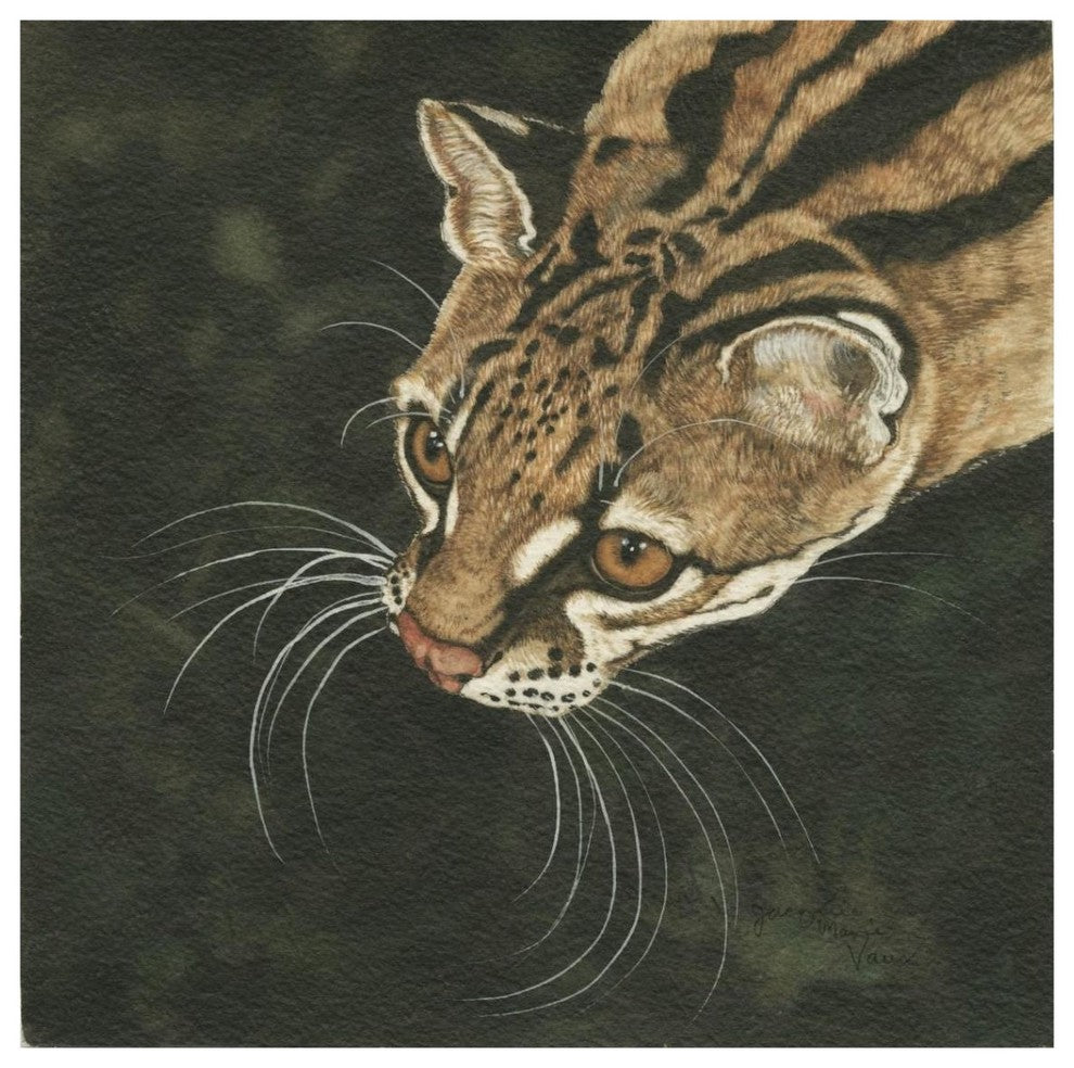 "The Margay" Digital Paper Print by Jacquie Vaux, 38"x38"