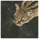 "The Margay" Digital Paper Print by Jacquie Vaux, 38"x38"