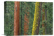 "Giant Sequoia Trees In Grant Grove, Sequoia National Park, California" Artwork
