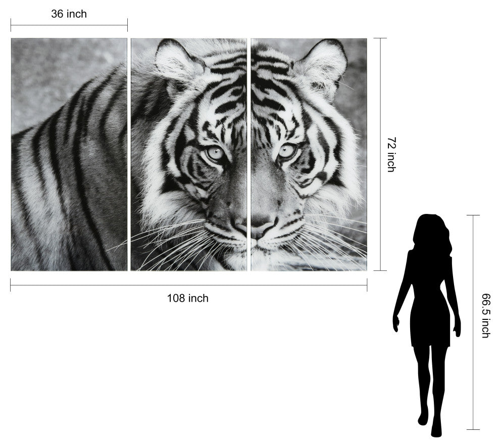 "Tiger ABC" Frameless Free Floating Tempered Glass Panel Graphic Wall Art Set
