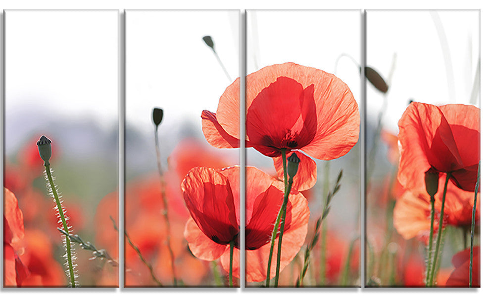 Soft Poppy Flowers Petals View, Floral Canvas Art Print, 48"x28", 4 Panels