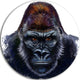 Gorilla Male Illustration, Animal Round Wall Art, 11"