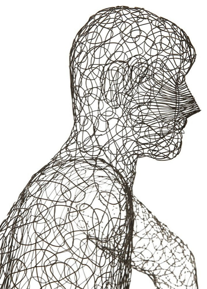 Crazy Wire Lounging Male