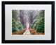 Cora Niele ''Rhododendron Lane'' Matted Framed Art