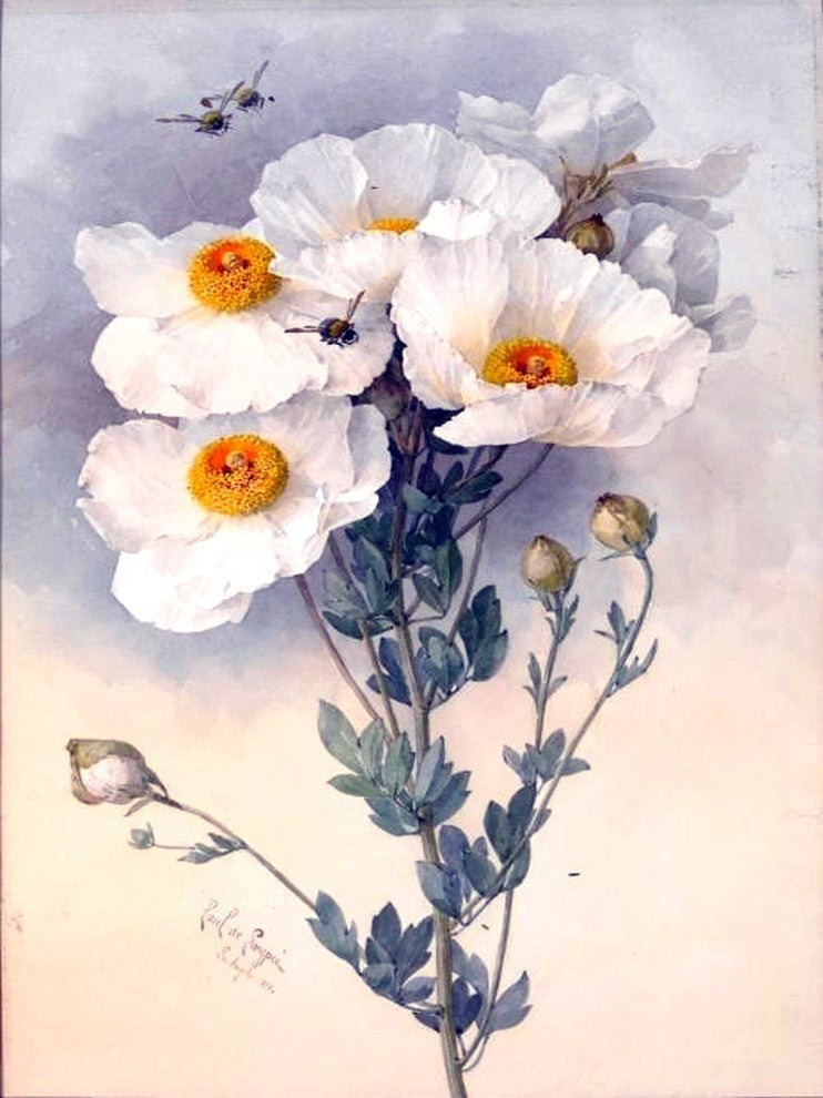 Tile Mural Still Life Of White Flowers By Paul De Longpre, 6"x8", Matte