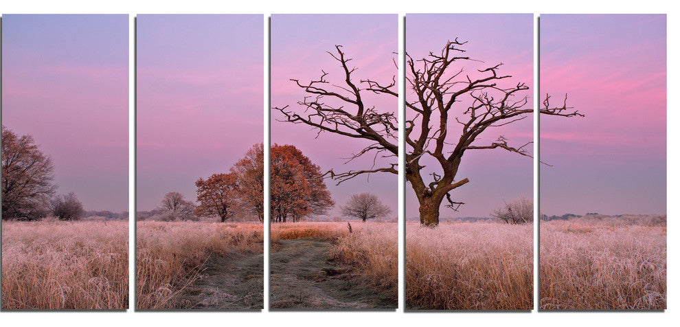 "Fairy Autumn Sunrise With Lonely Tree" Landscape Wall Art, 5 Panels, 60"x28"