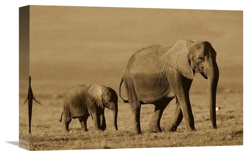 "African Elephant Mother And Calf, Kenya - Sepia" Artwork, 18" x 12"