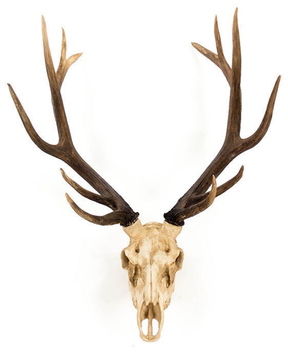 Faux Deer Skull Wall Decor