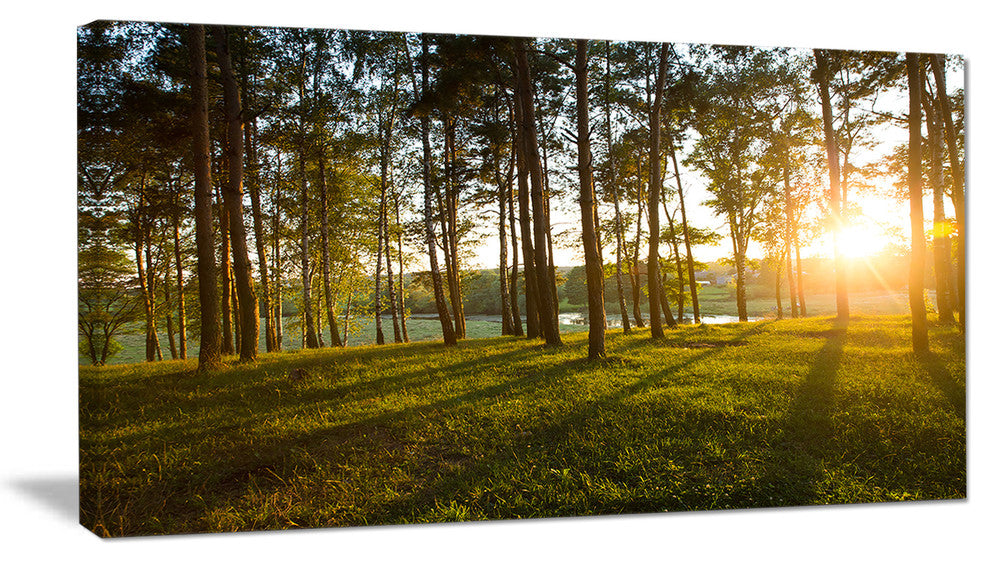 Bright Sunlight in Dense Forest, Large Landscape Canvas Art, 32"x16"