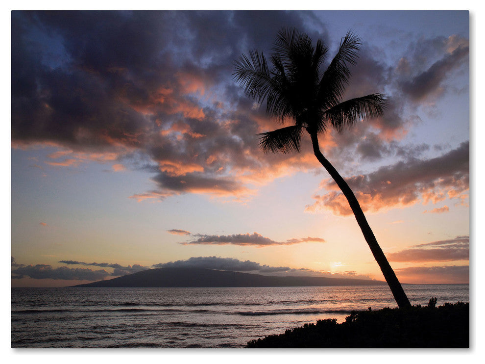 'Palm Tree Maui' Canvas Art by Pierre Leclerc