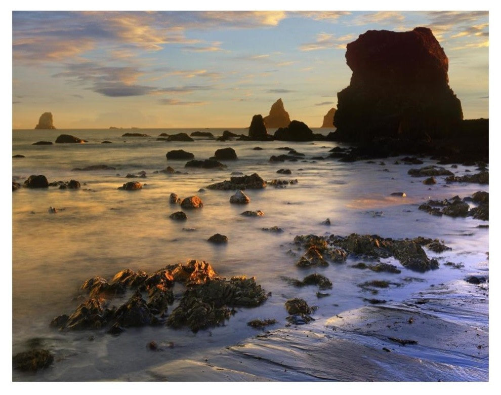 "Seastacks, Lone Ranch Beach, Oregon" Paper Print by Tim Fitzharris, 18"x14"