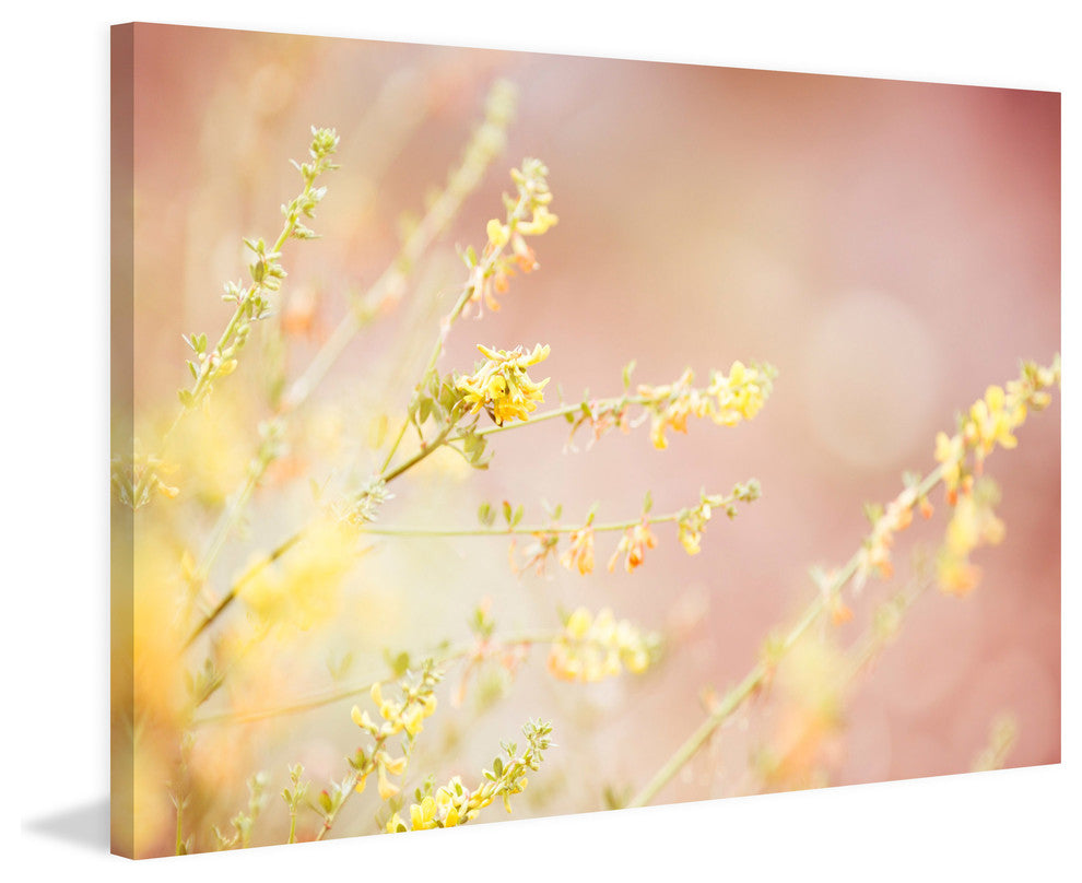 Marmont Hill, "Sunshine" by Morgan Hartley Painting on Wrapped Canvas, 24x16