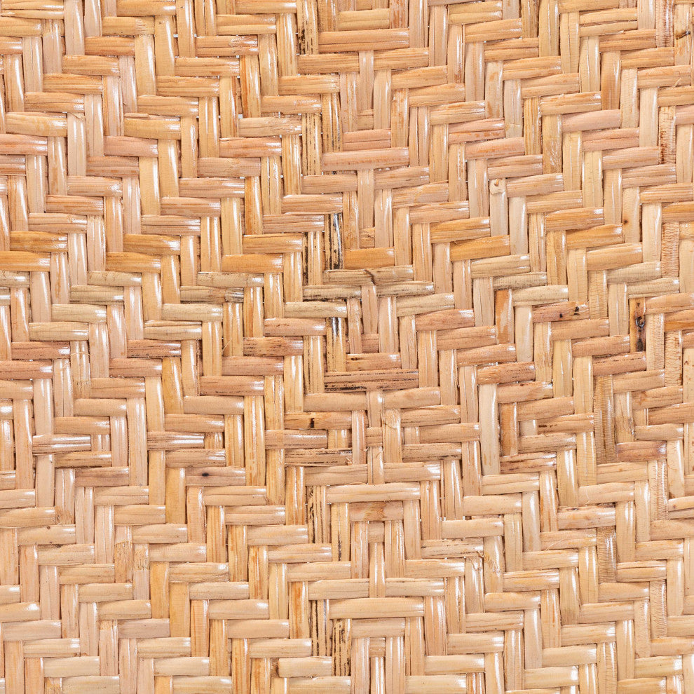 Zenaida Modern Bohemian Natural Brown Rattan and Black Metal Chair