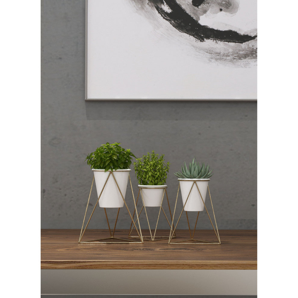 3-Piece Viola Table Top Planter Set