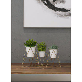 3-Piece Viola Table Top Planter Set