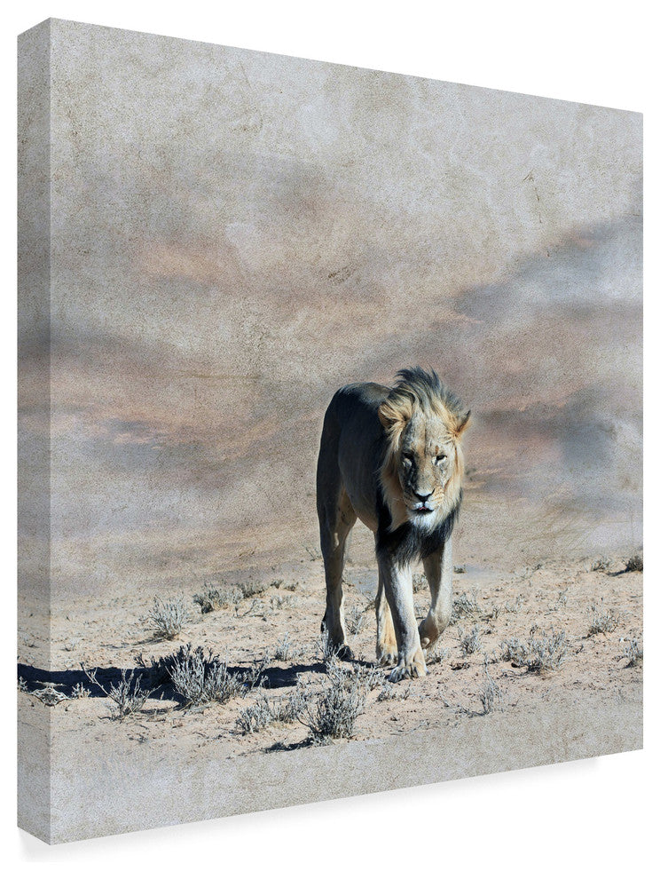 "The King 2A" by Ata Alishahi, Canvas Art, 18"x18"