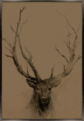Antlers I, 24 x 36