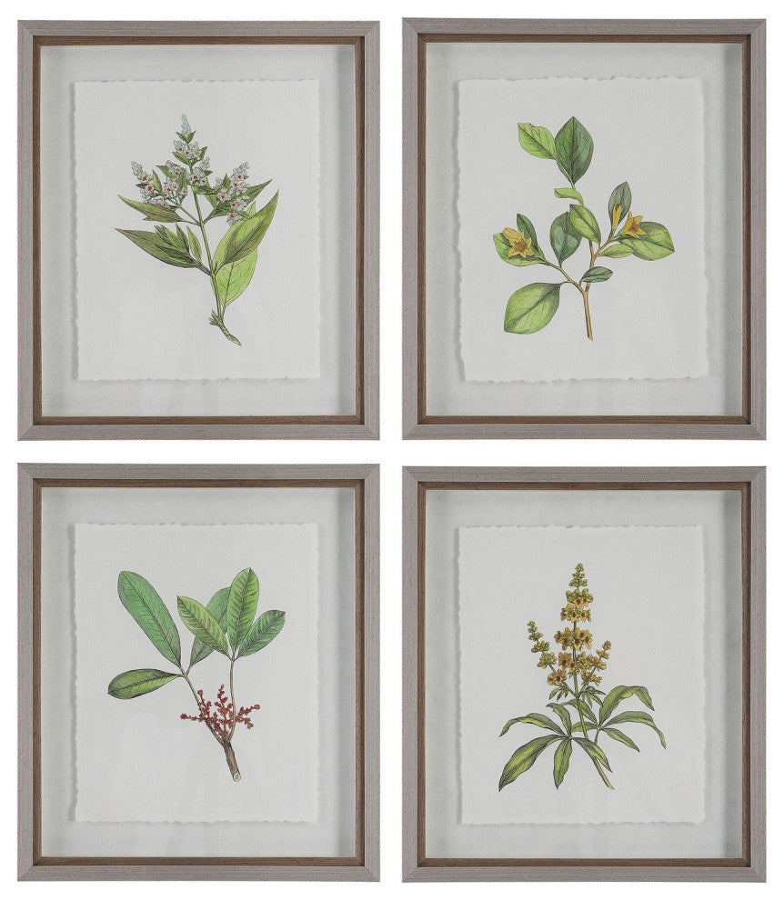 Uttermost 41461 Wildflower Study Framed Prints, 4-Piece Set