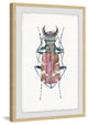 "Pink Marbled Bug" Framed Painting Print, 20"x30"