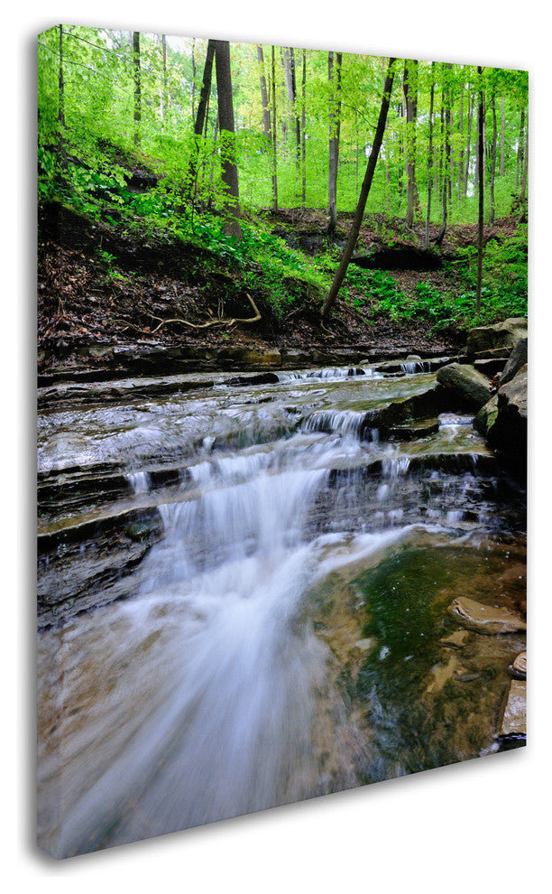 'Valley Stream' Canvas Art by Kurt Shaffer