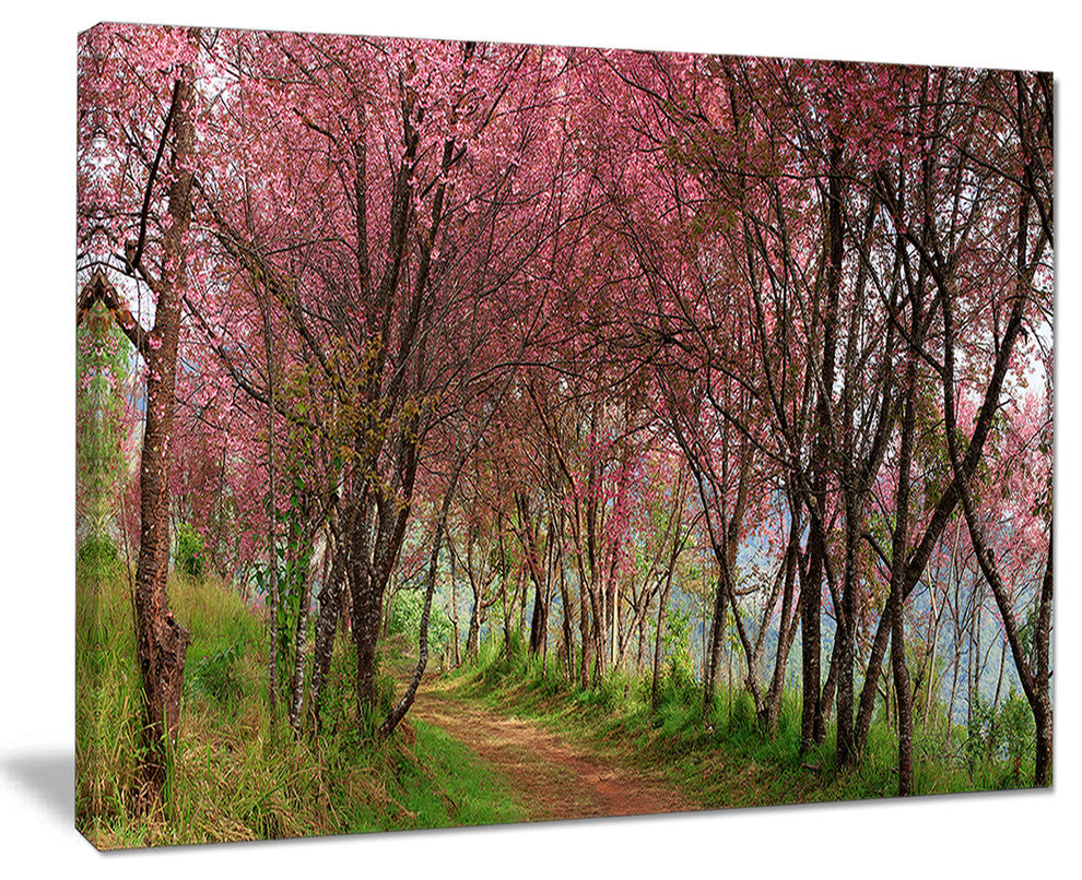 "Sakura Pink Flowers in Thailand" Landscape Art Print Canvas, 40"x30"