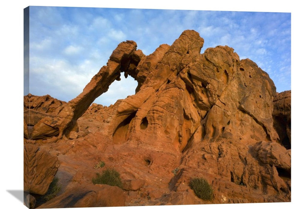 "Elephant Rock, Valley Of Fire State Park, Nevada" Artwork