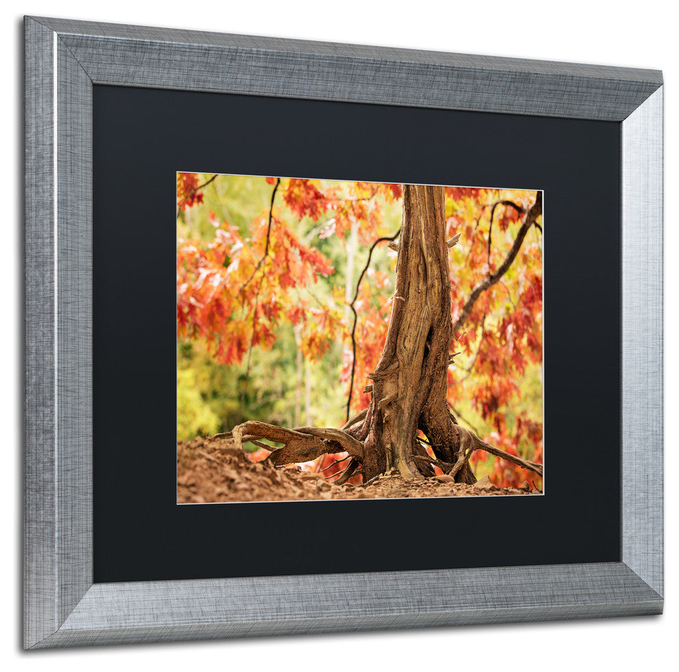 Jason Shaffer 'Hang Tight' Matted Framed Art, Silver Frame, Black Mat, 20x16