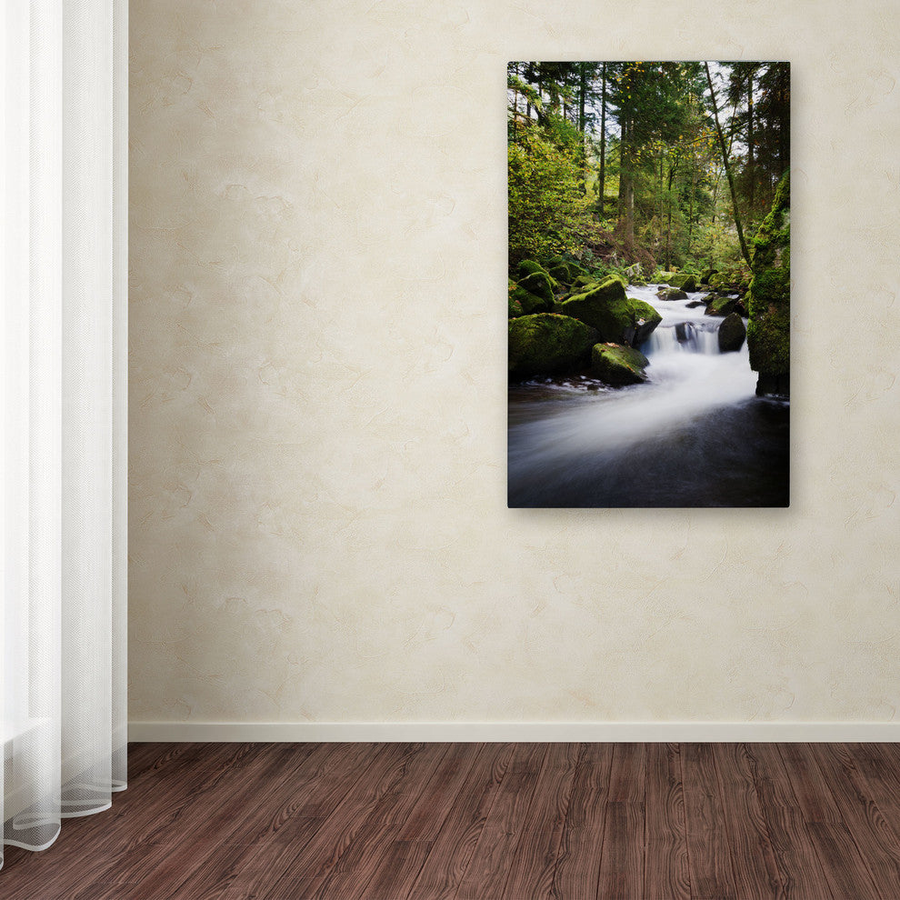 'Waterfall in the Forest' Canvas Art by Philippe Sainte-Laudy