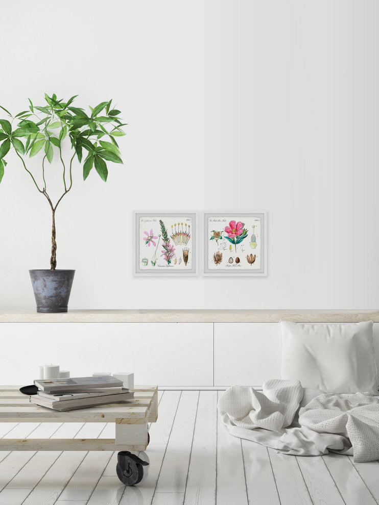 "Growing Pink Diptych" Framed Prints, 18"x18", 2-Piece Set