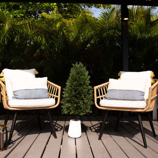 Lifestyle image showing the cedar tree in a real outdoor/decor setting with the planter.