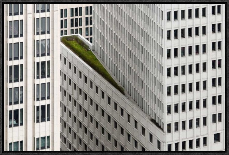 "The Green Element" Framed Canvas Giclee by Dan Clausen Hansen, 23x15"