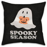 Indoor / Outdoor Pillow