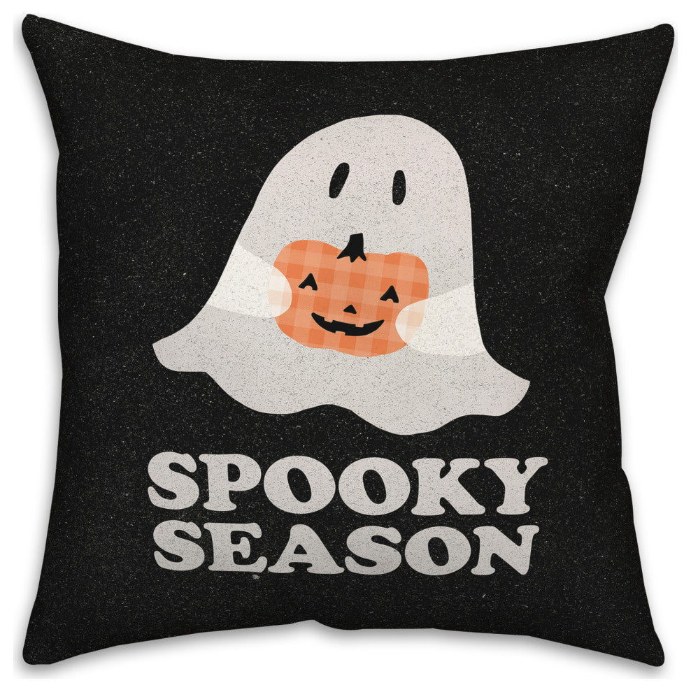 Indoor / Outdoor Pillow