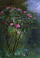 Gustave Caillebotte Rose Bush in Flower, 18"x27" Wall Decal Print