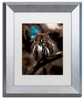 Color Bakery 'Night Owl' Art, Silver Frame, White Matte, 11"x14"