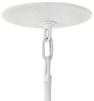 Hinkley 20" Flora Convertible Semi-Flush Ceiling Light, Textured Plaster