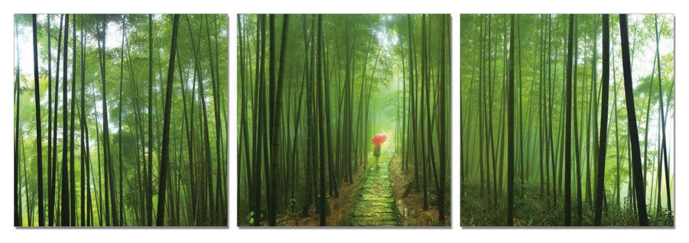 HomeRoots 24" Canvas 3 Panels Forest Color Photo
